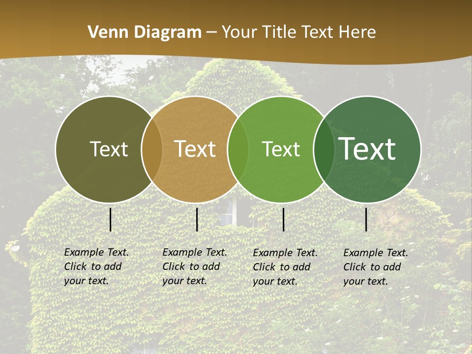 Senior  Finger White Background PowerPoint Template