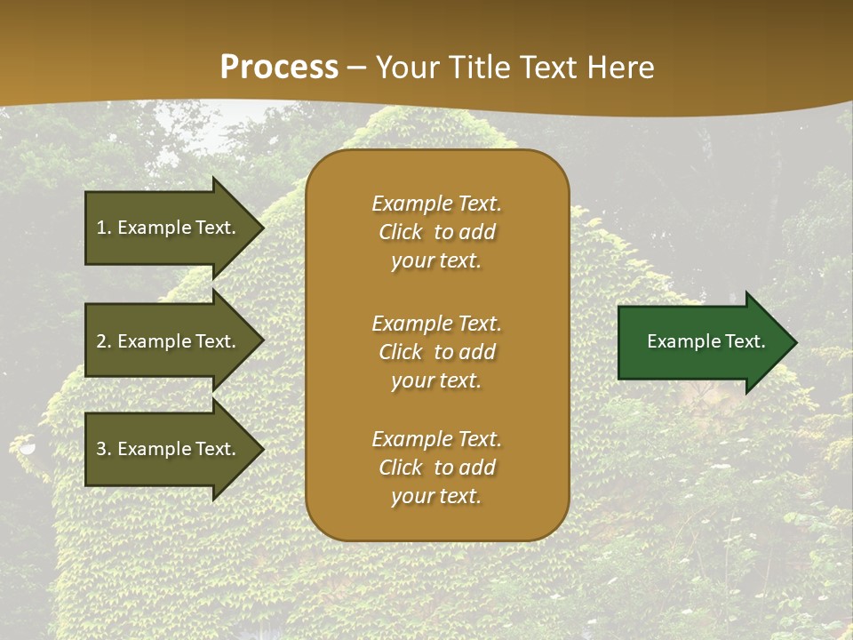 Senior  Finger White Background PowerPoint Template