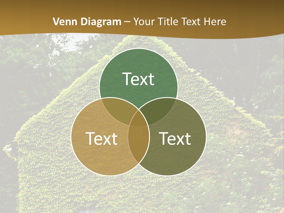 Senior  Finger White Background PowerPoint Template