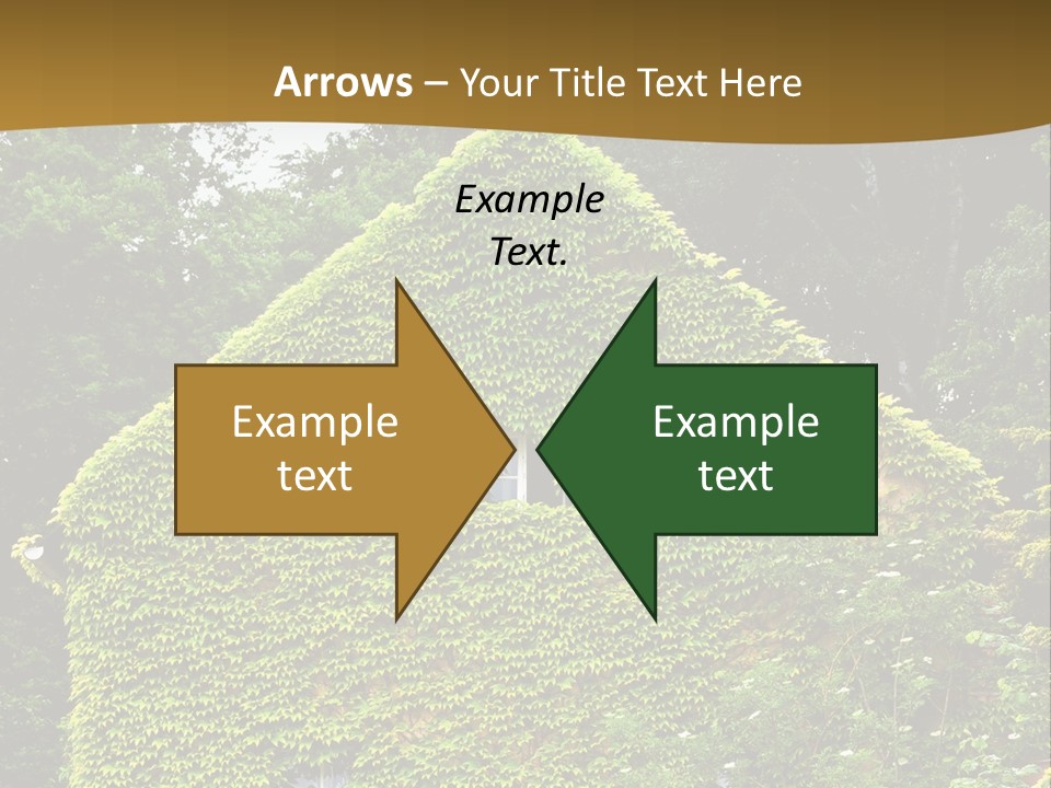 Senior  Finger White Background PowerPoint Template