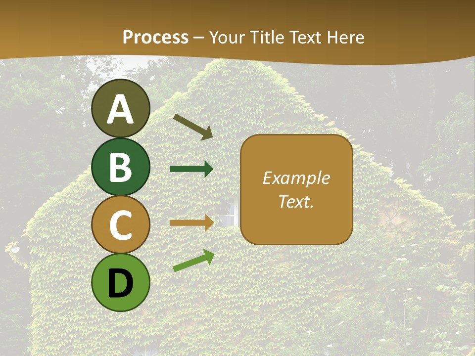 Senior  Finger White Background PowerPoint Template