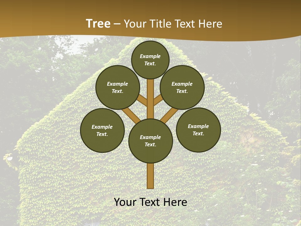 Senior  Finger White Background PowerPoint Template