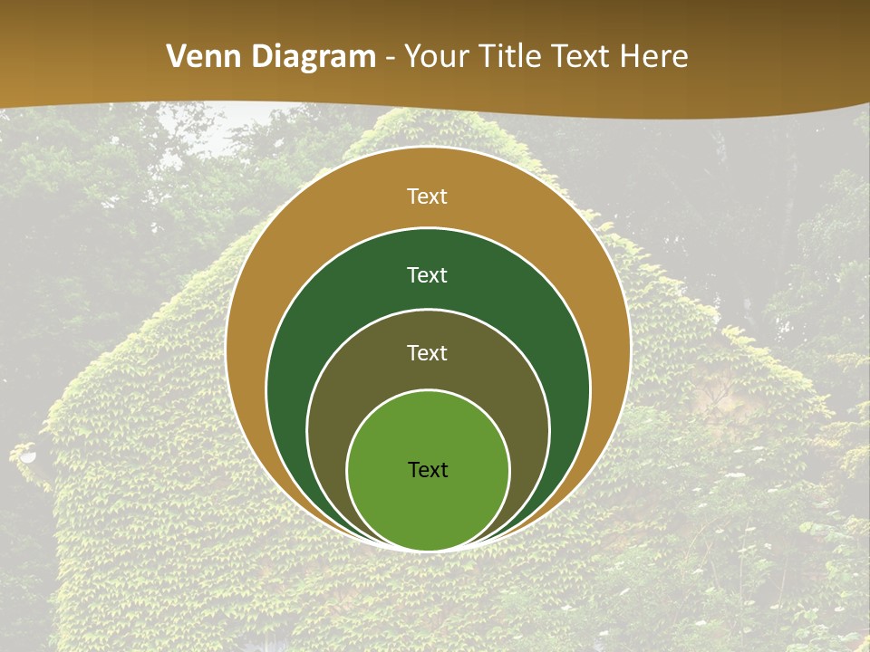 Senior  Finger White Background PowerPoint Template