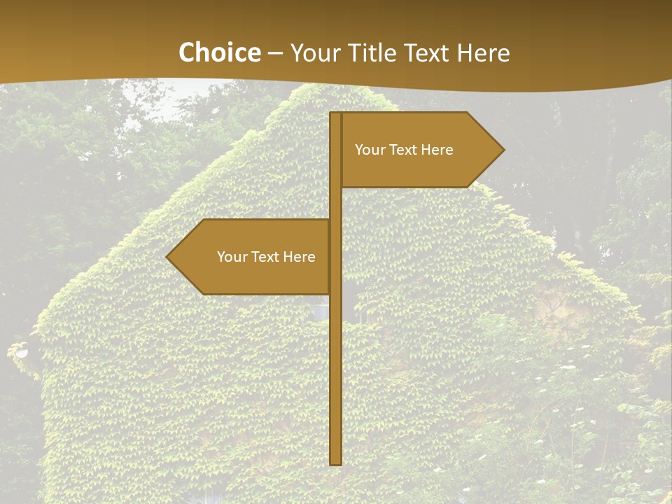 Senior  Finger White Background PowerPoint Template