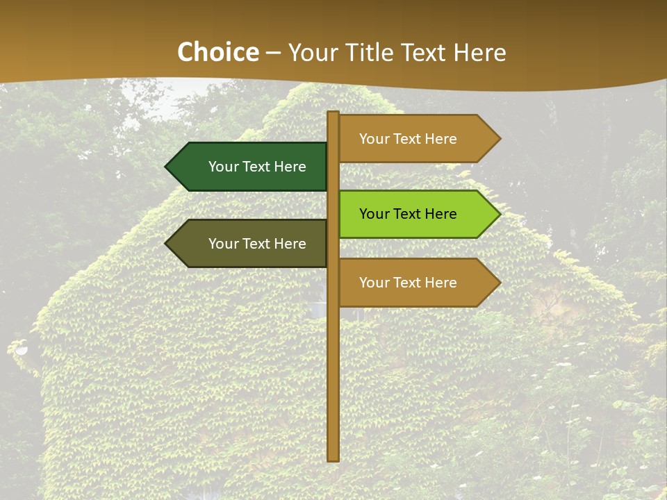 Senior  Finger White Background PowerPoint Template