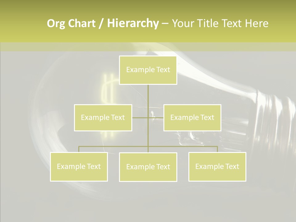 White Background Sharing Senior PowerPoint Template