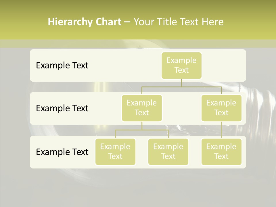 White Background Sharing Senior PowerPoint Template