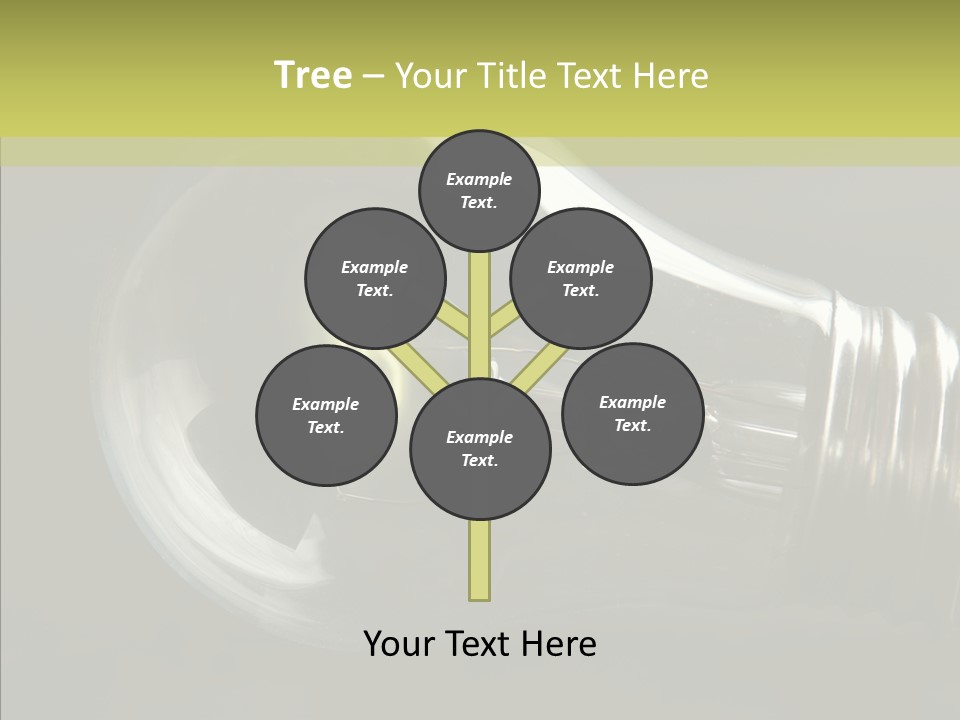 White Background Sharing Senior PowerPoint Template