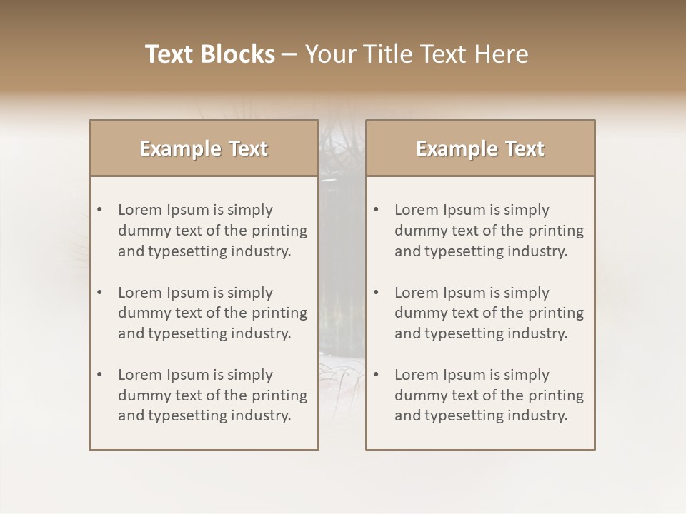 Female Senior Elder PowerPoint Template