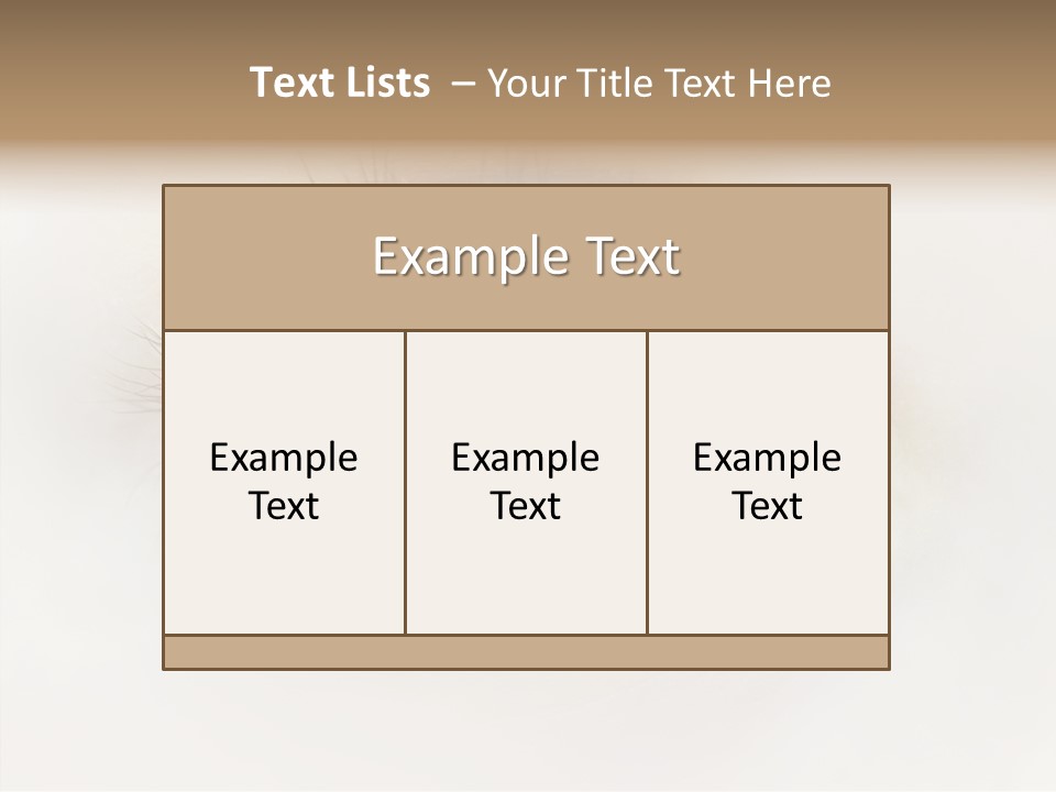 Female Senior Elder PowerPoint Template