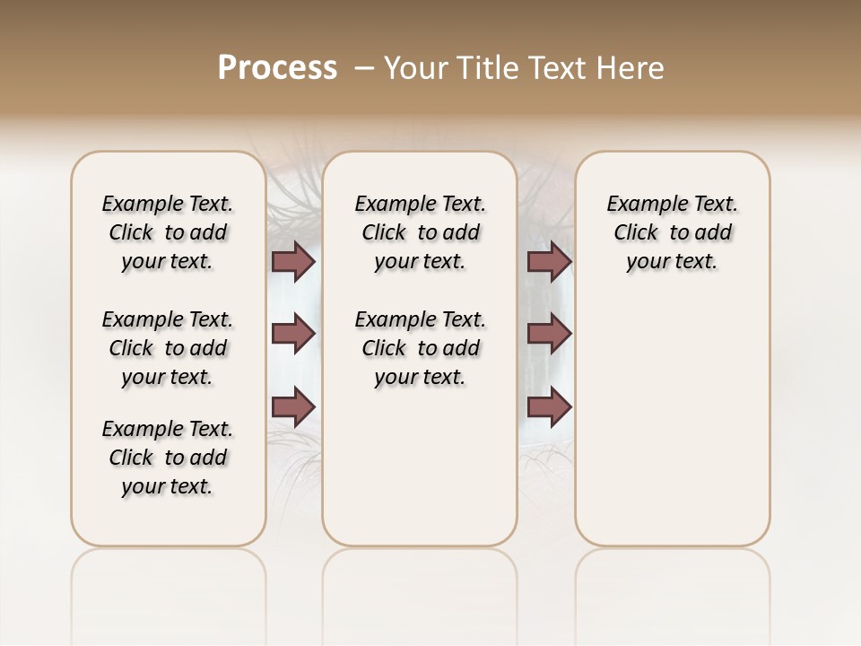 Female Senior Elder PowerPoint Template