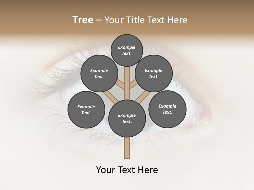 Female Senior Elder PowerPoint Template