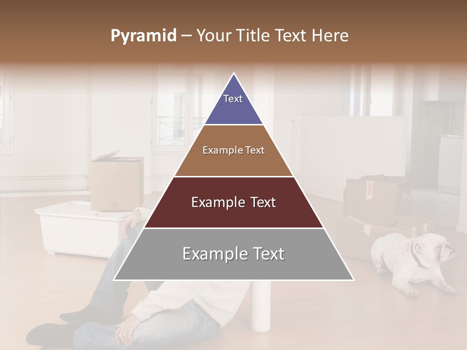 Senior  Female Senior PowerPoint Template