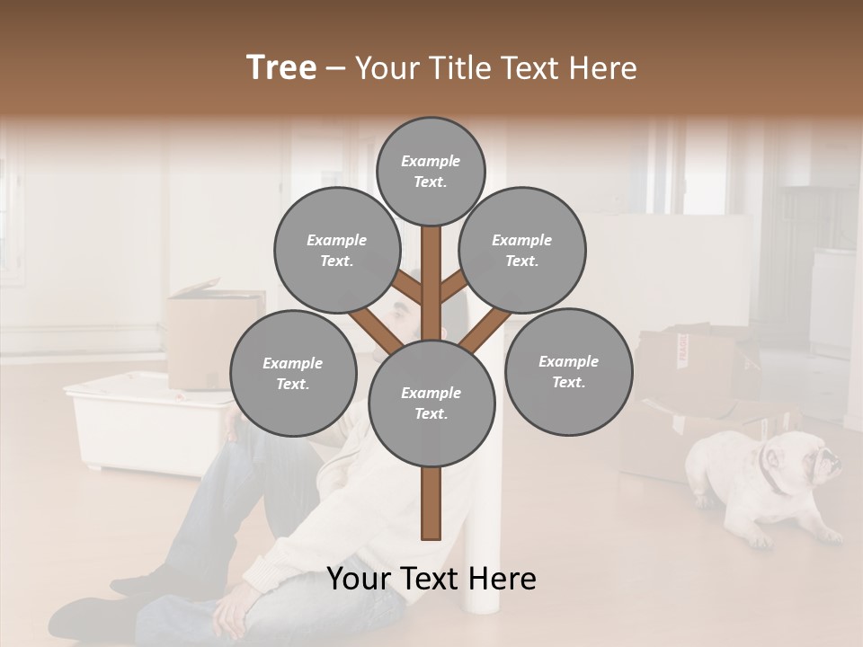 Senior  Female Senior PowerPoint Template