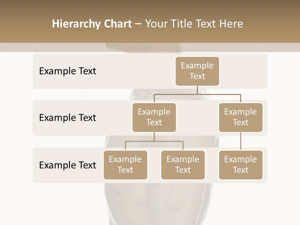 Elderly Hand Young PowerPoint Template