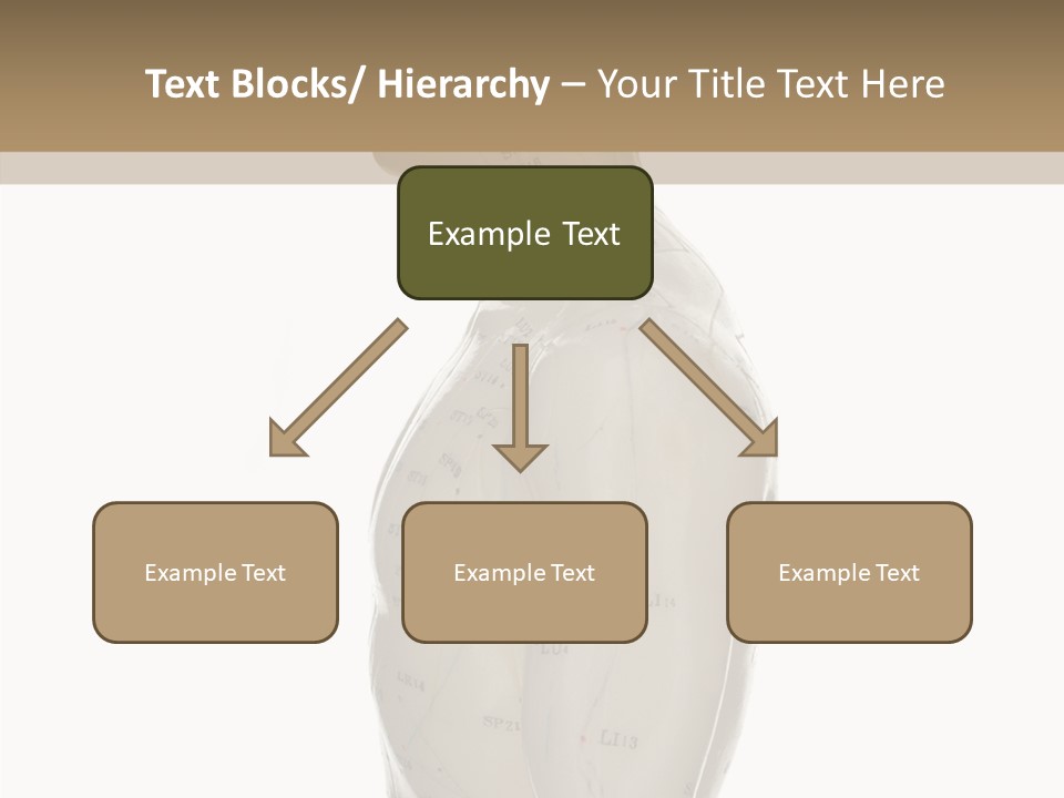 Elderly Hand Young PowerPoint Template