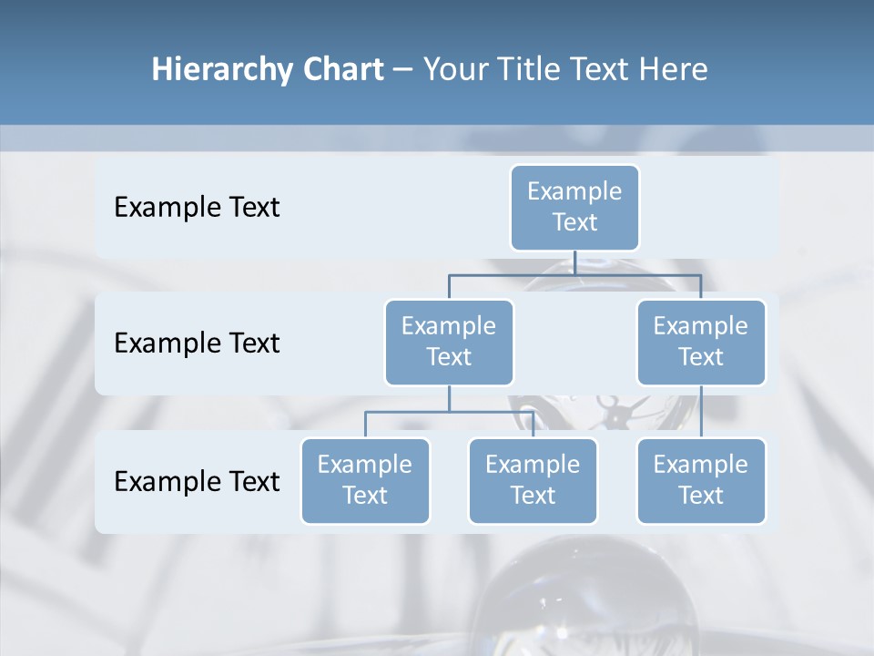 Senior  Old Senior PowerPoint Template