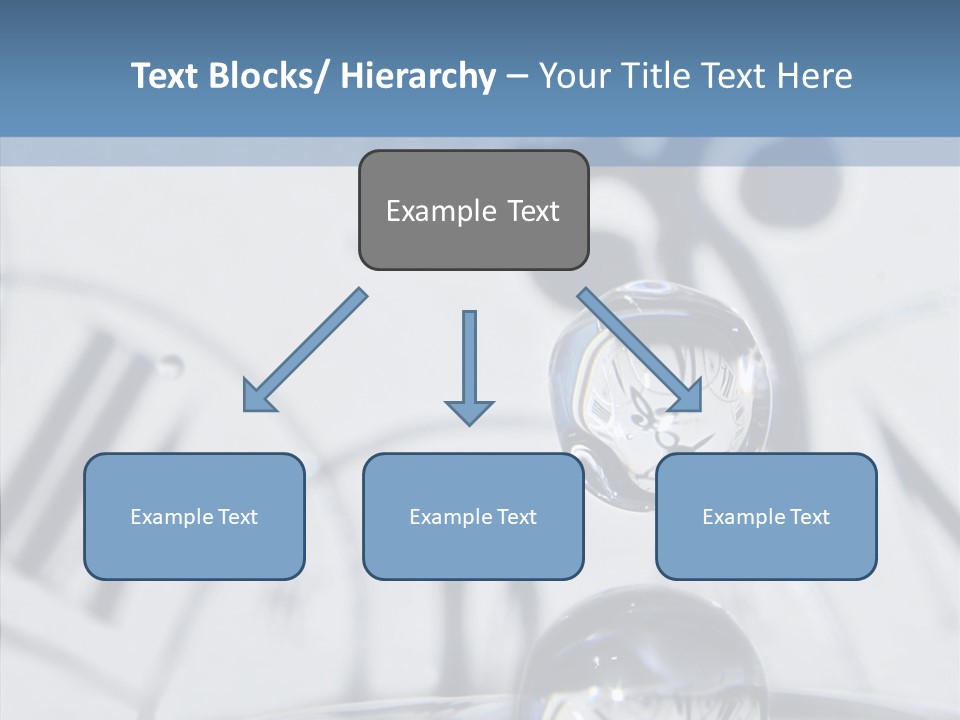 Senior  Old Senior PowerPoint Template