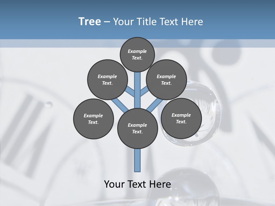 Senior  Old Senior PowerPoint Template