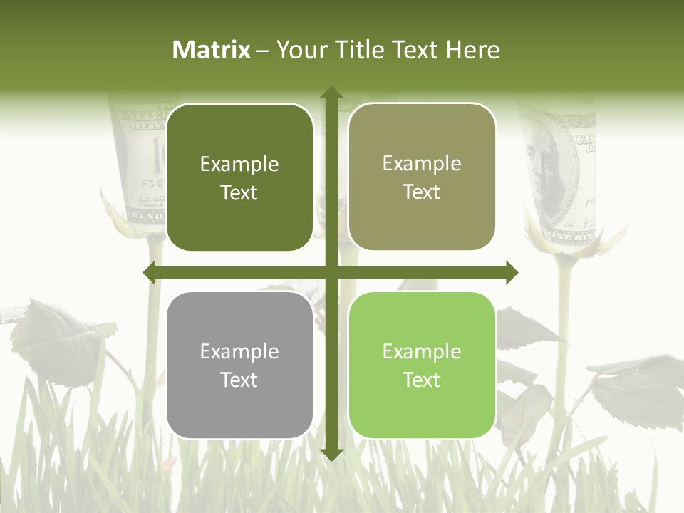 Senior  Background Holding Hands PowerPoint Template