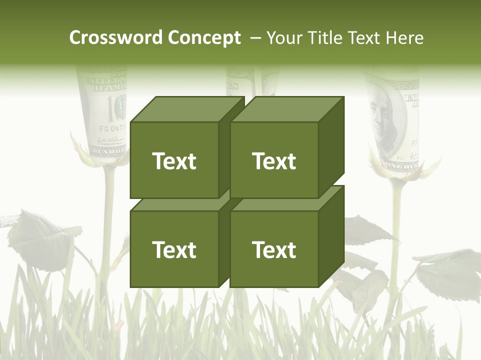 Senior  Background Holding Hands PowerPoint Template