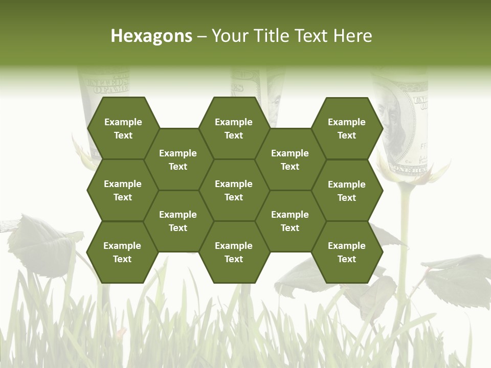 Senior  Background Holding Hands PowerPoint Template