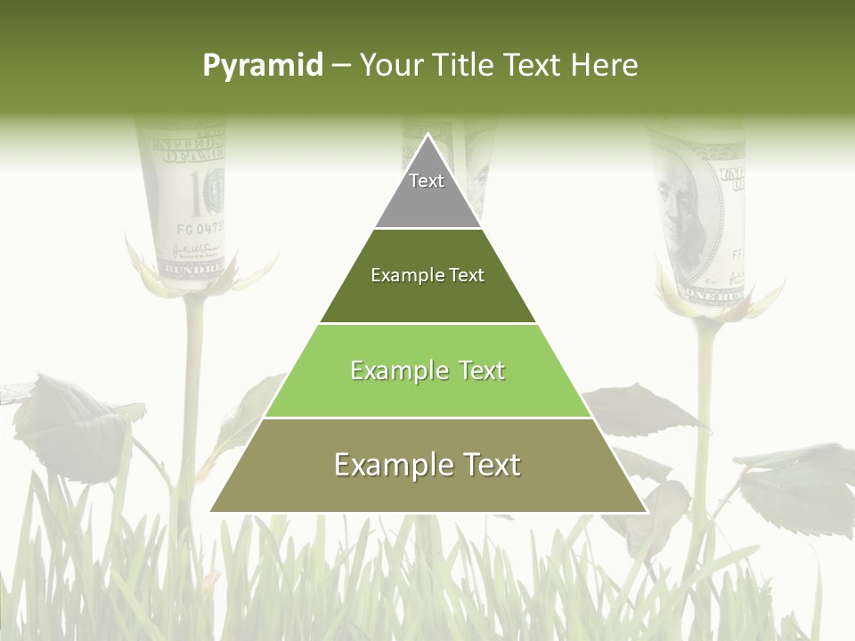 Senior  Background Holding Hands PowerPoint Template