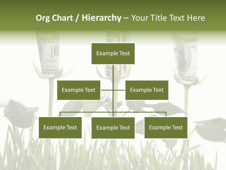 Senior  Background Holding Hands PowerPoint Template