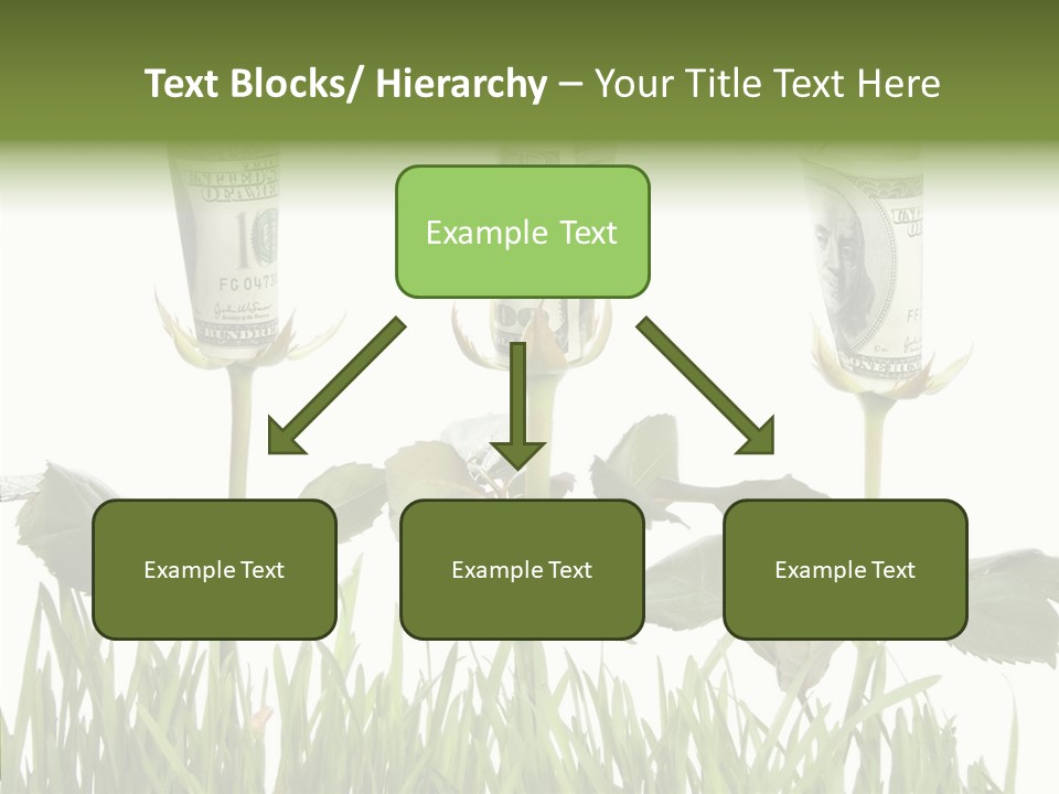 Senior  Background Holding Hands PowerPoint Template