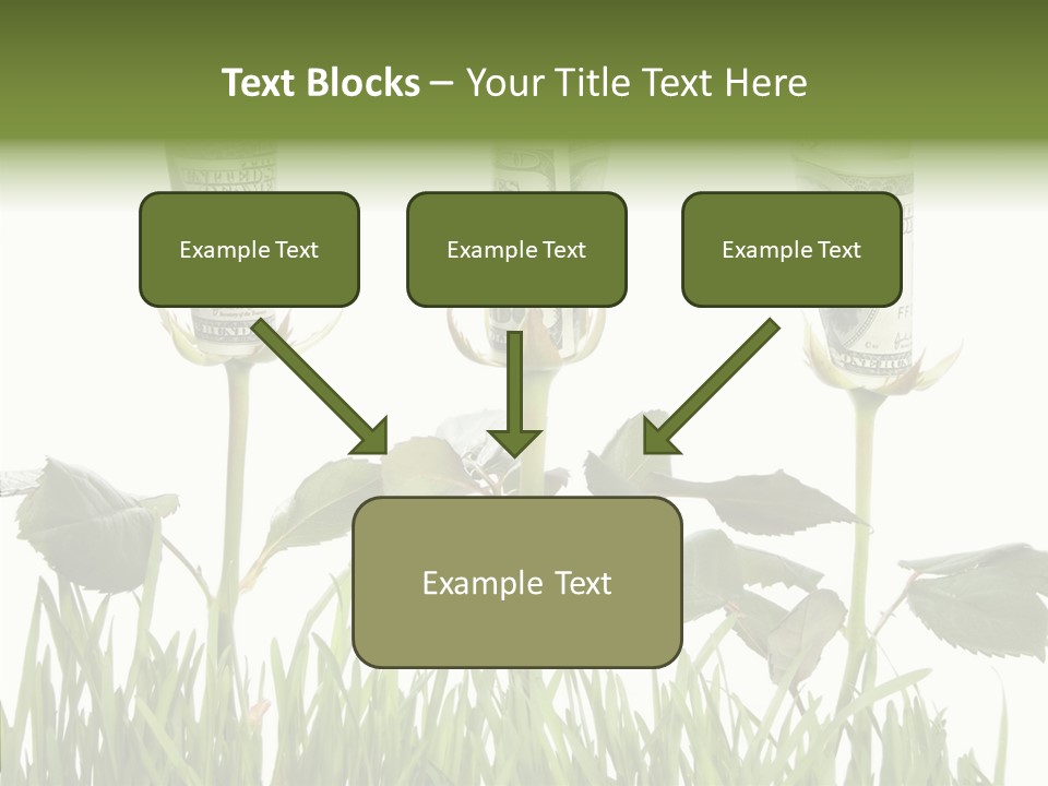 Senior  Background Holding Hands PowerPoint Template