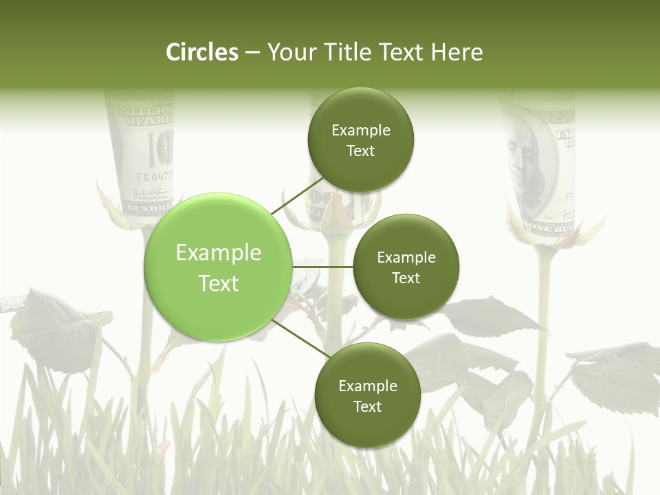 Senior  Background Holding Hands PowerPoint Template