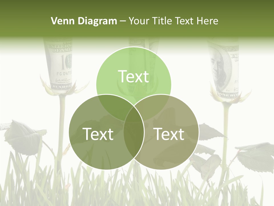 Senior  Background Holding Hands PowerPoint Template