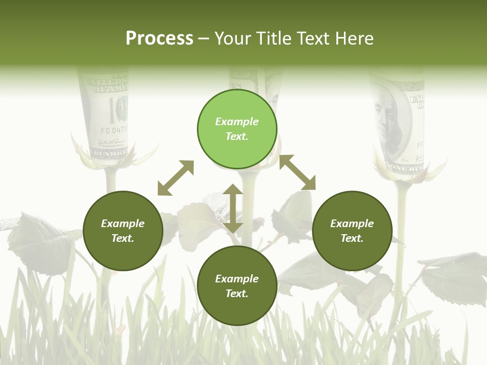 Senior  Background Holding Hands PowerPoint Template