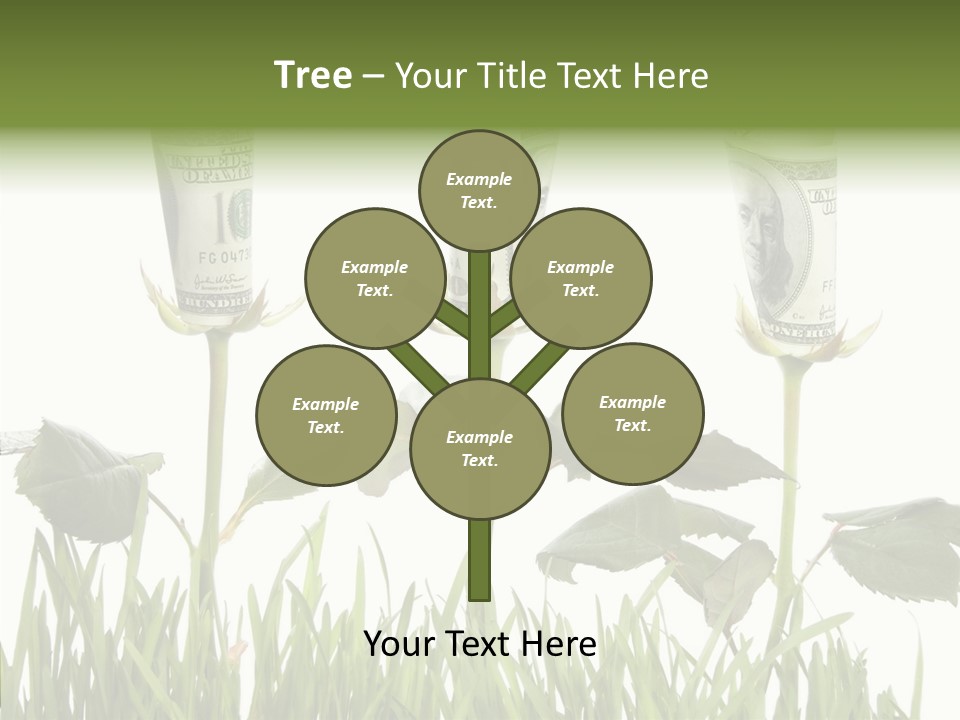 Senior  Background Holding Hands PowerPoint Template