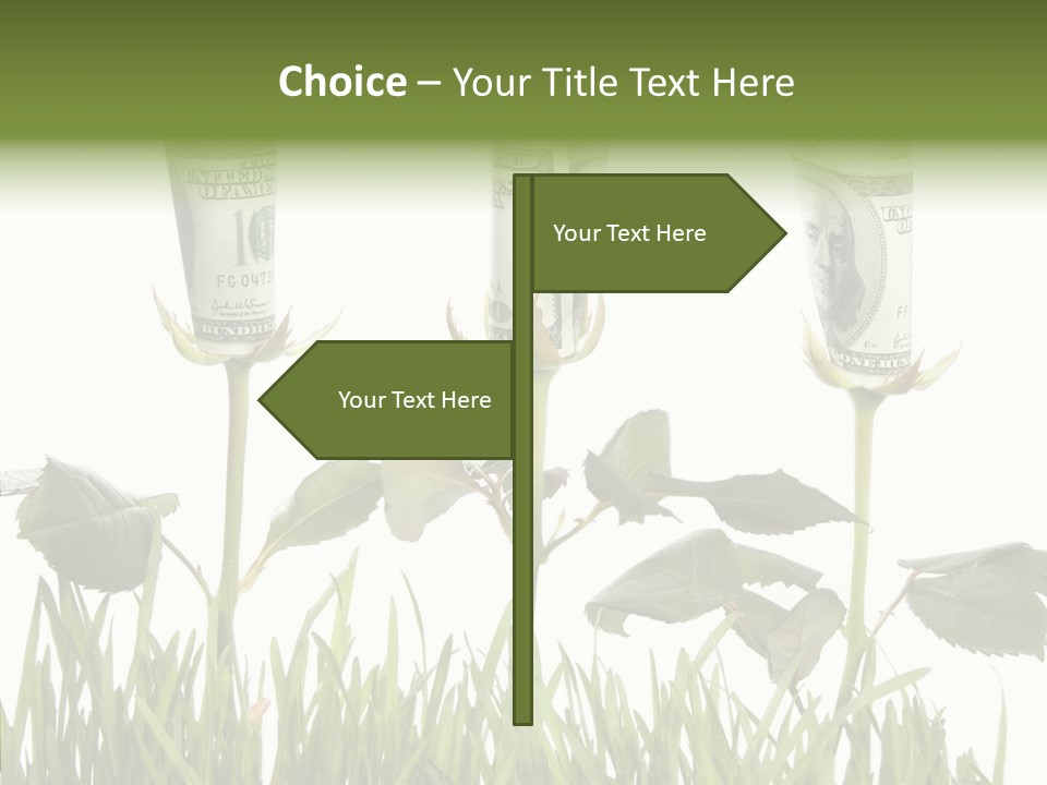 Senior  Background Holding Hands PowerPoint Template