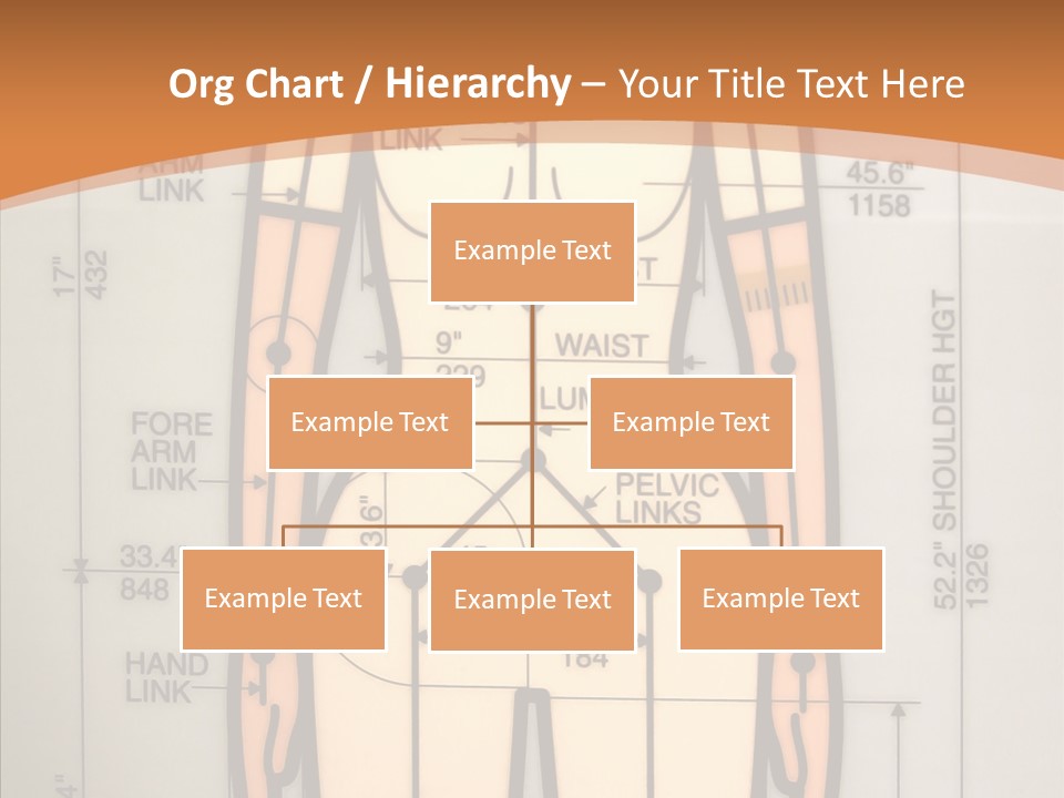 Female White Background Holding Hands PowerPoint Template