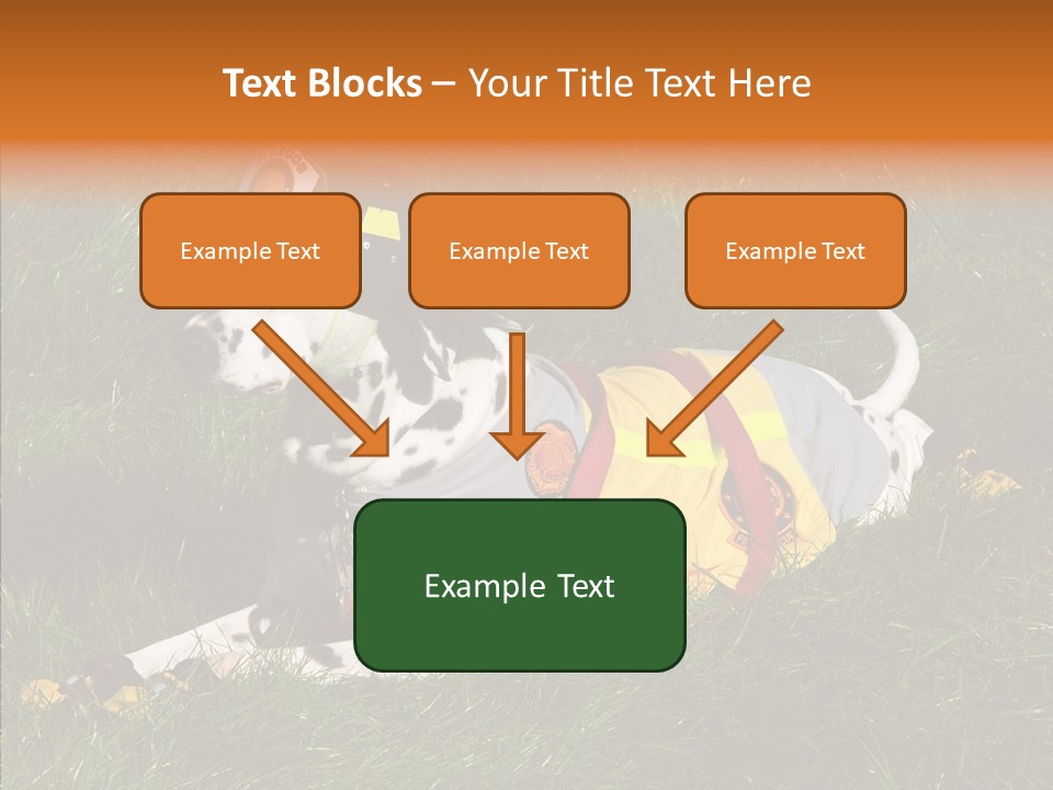 Helping Hand White Aging PowerPoint Template