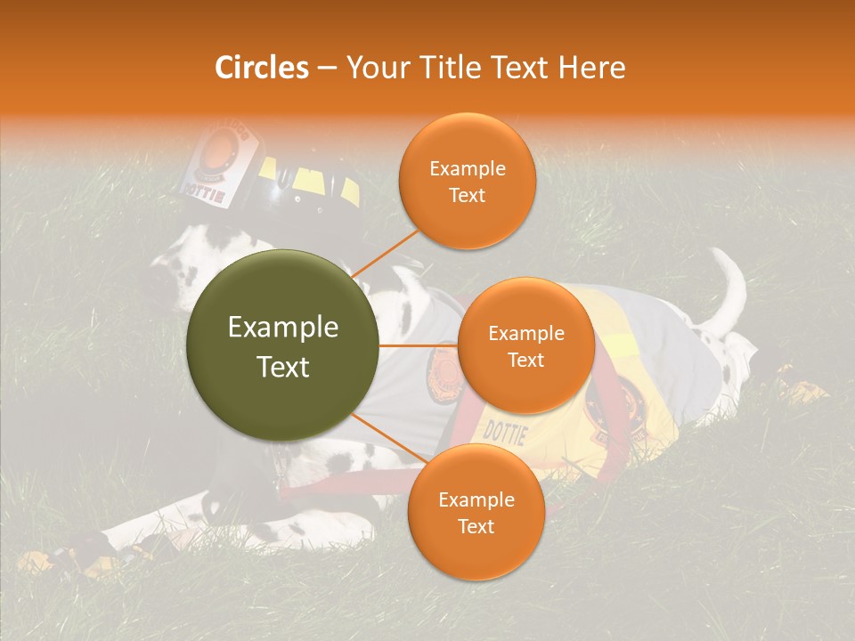 Helping Hand White Aging PowerPoint Template