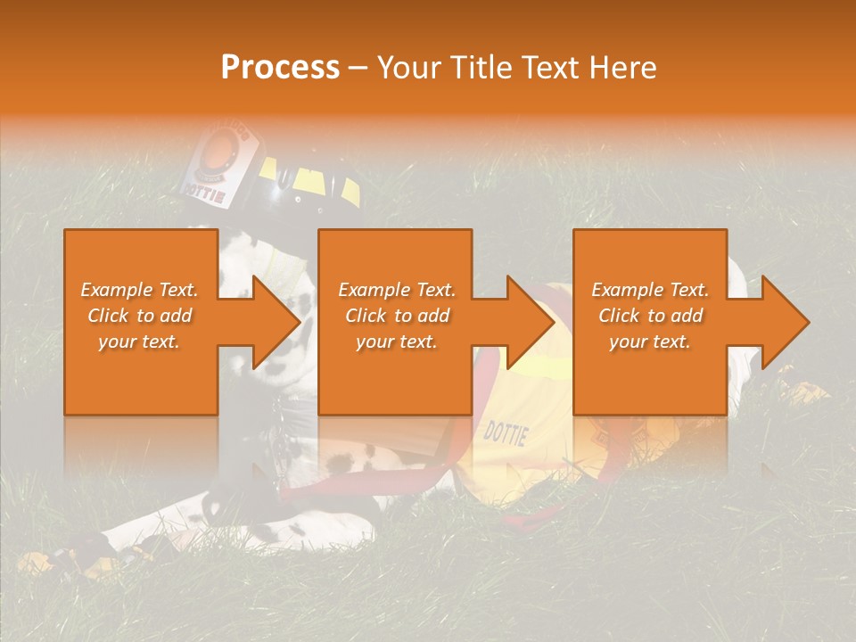 Helping Hand White Aging PowerPoint Template