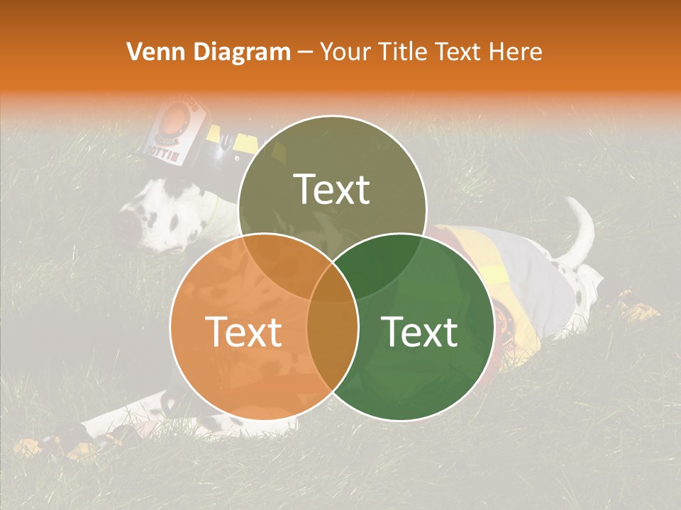 Helping Hand White Aging PowerPoint Template