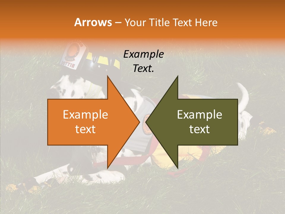 Helping Hand White Aging PowerPoint Template