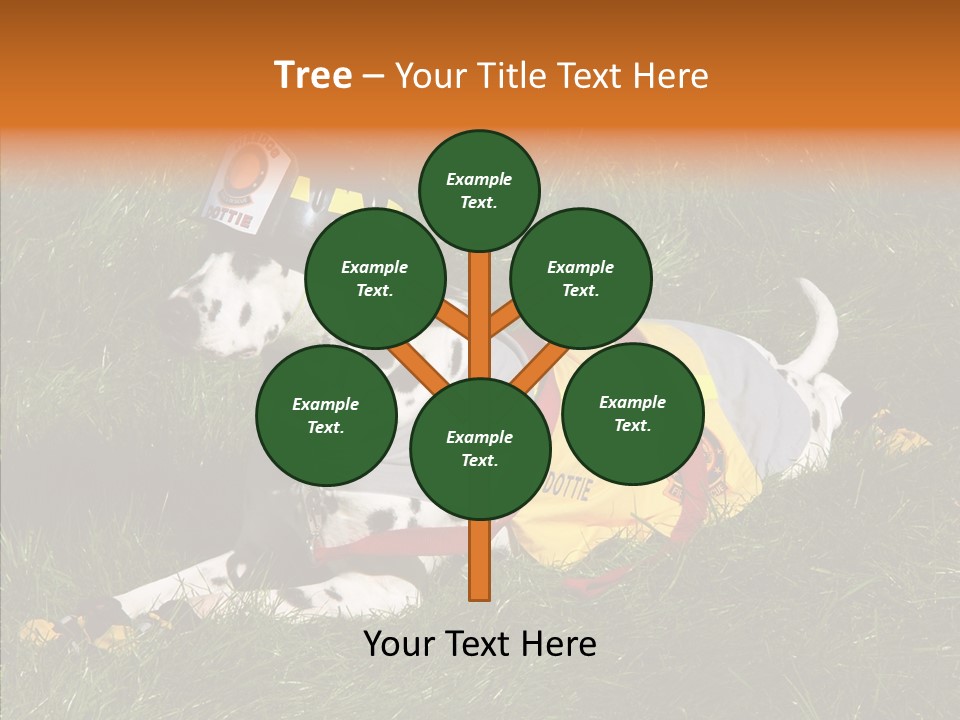 Helping Hand White Aging PowerPoint Template