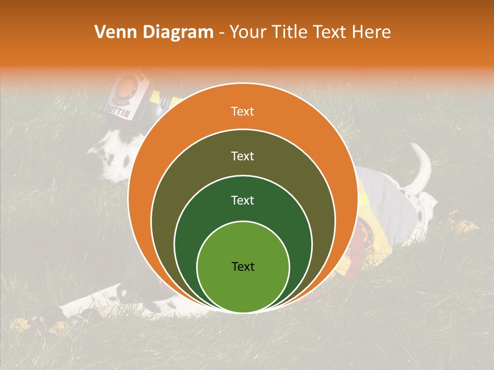 Helping Hand White Aging PowerPoint Template