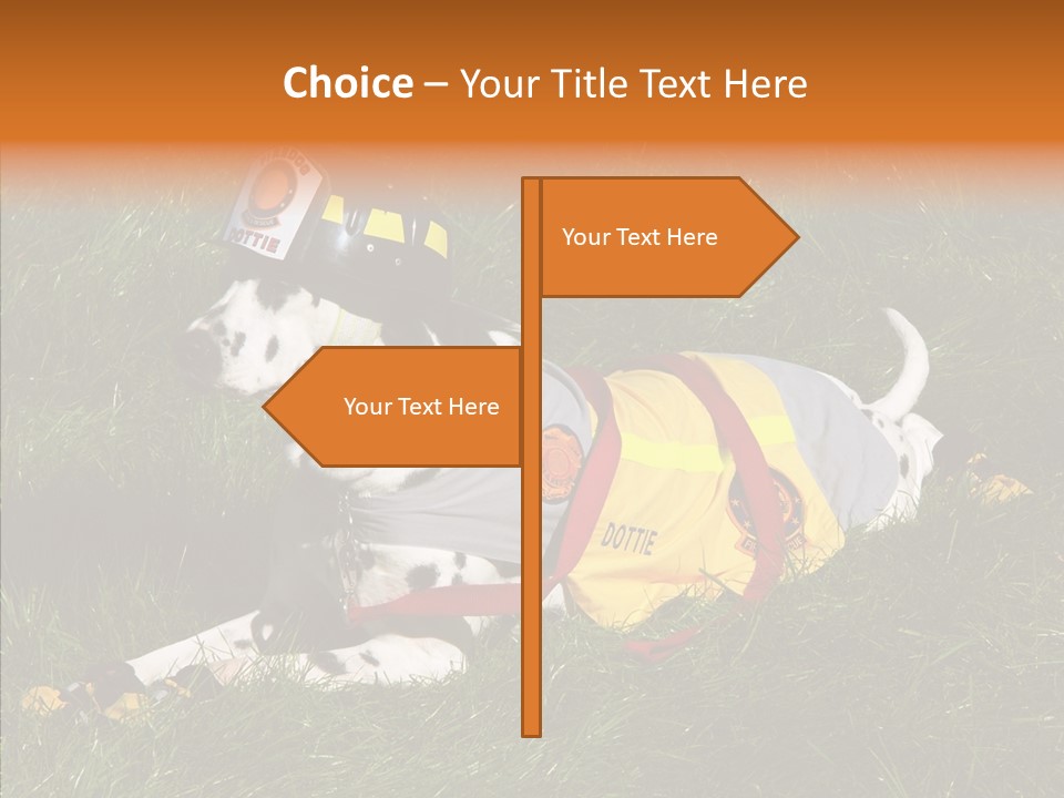 Helping Hand White Aging PowerPoint Template