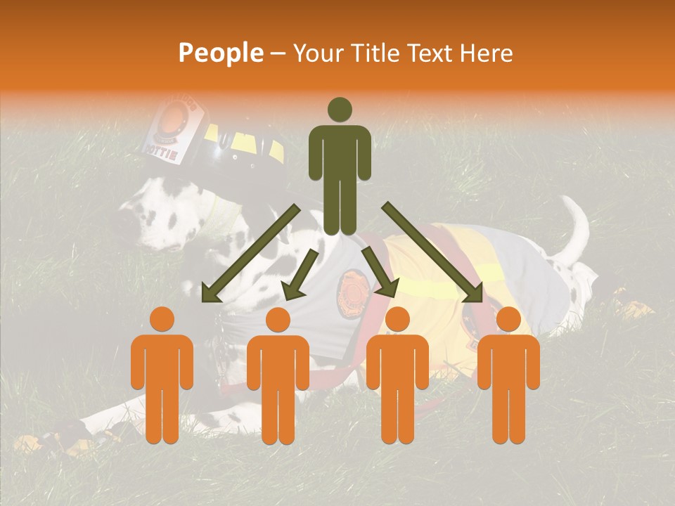 Helping Hand White Aging PowerPoint Template