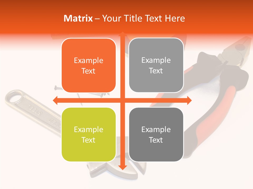 Senior  Women Hold PowerPoint Template