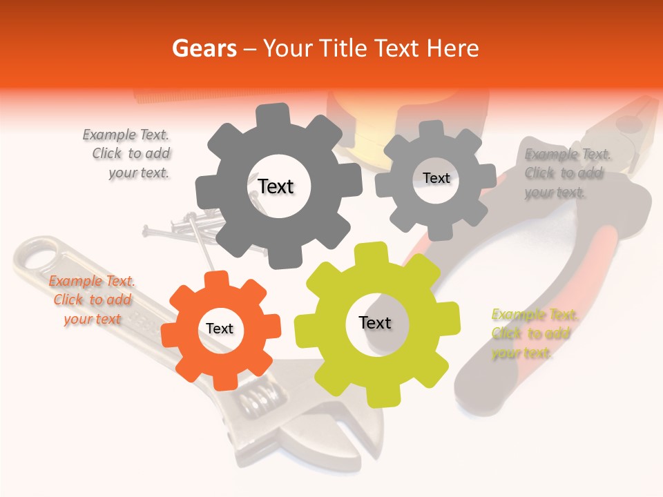 Senior  Women Hold PowerPoint Template