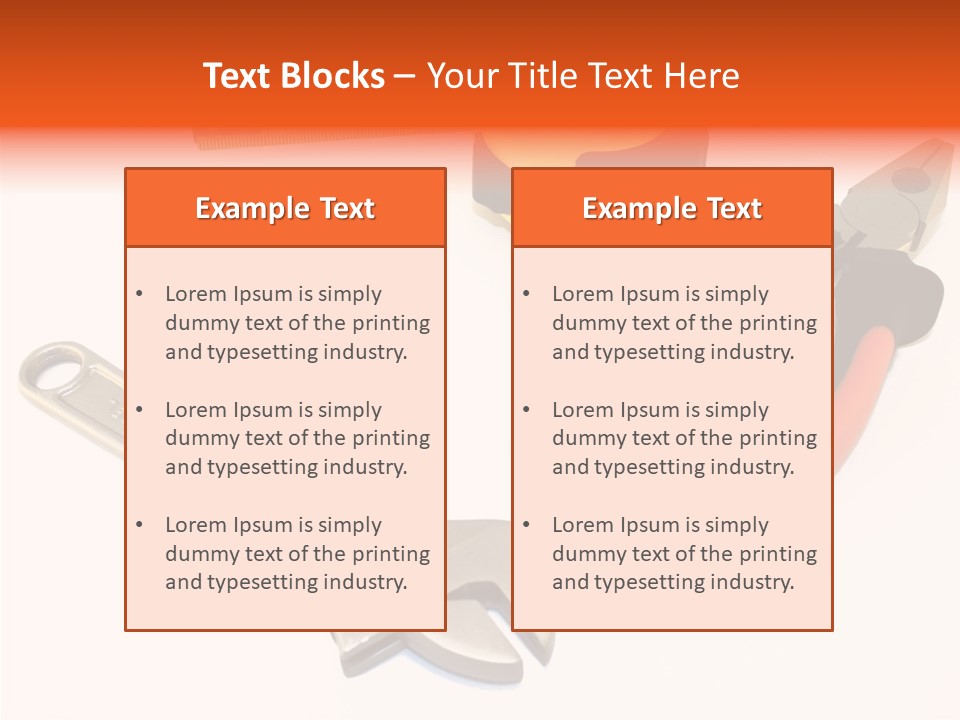 Senior  Women Hold PowerPoint Template