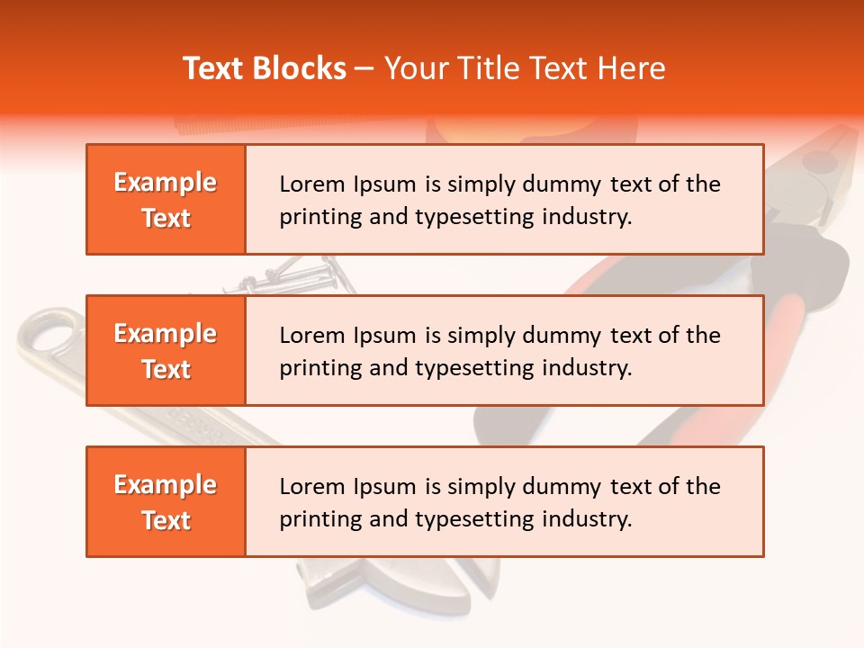 Senior  Women Hold PowerPoint Template