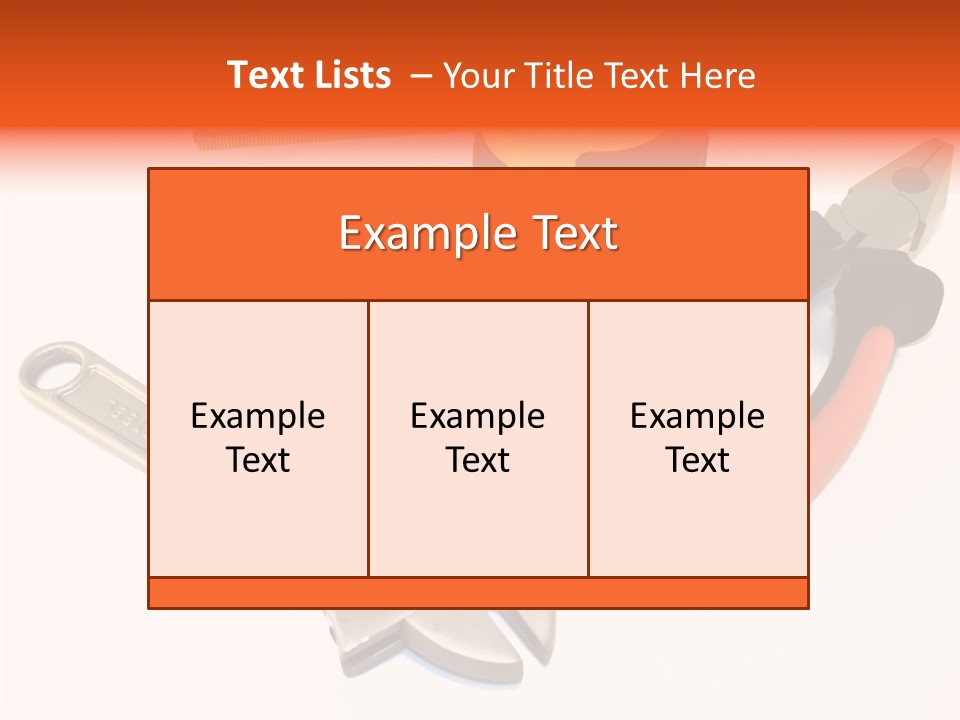 Senior  Women Hold PowerPoint Template